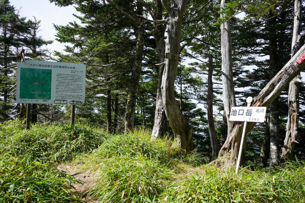 池口岳山頂