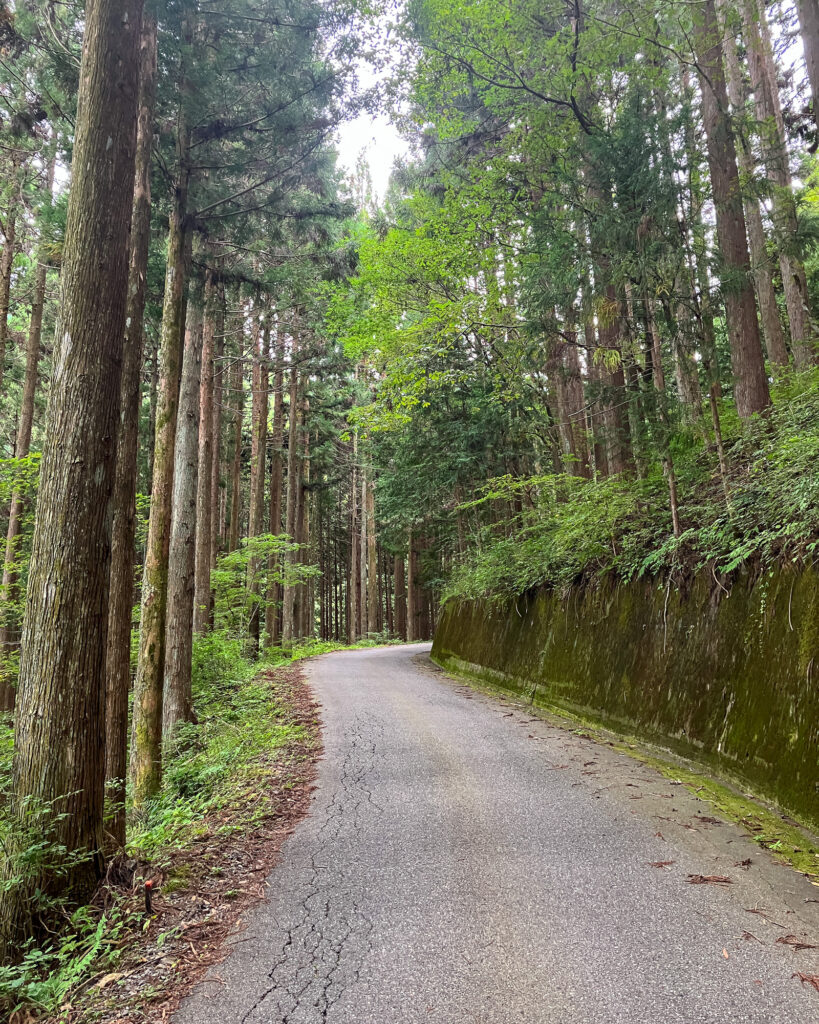 池口岳登山口へと続く林道