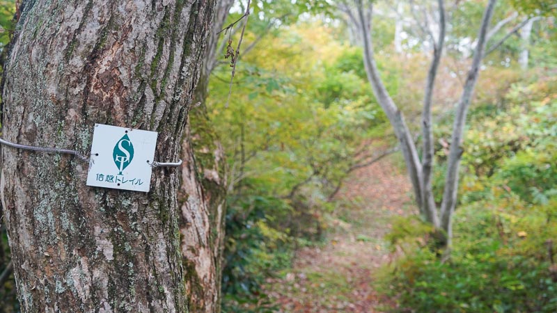 秋の信越トレイル5日間スルーハイクレポート|テント泊で歩いてわかった魅力と注意点